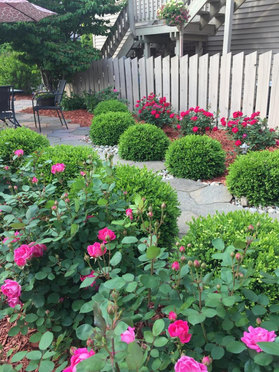 مبيت وإفطار Bellevue Weller Haus Bed, Breakfast & Event Center المظهر الخارجي الصورة