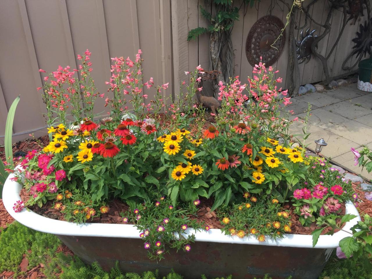 مبيت وإفطار Bellevue Weller Haus Bed, Breakfast & Event Center المظهر الخارجي الصورة