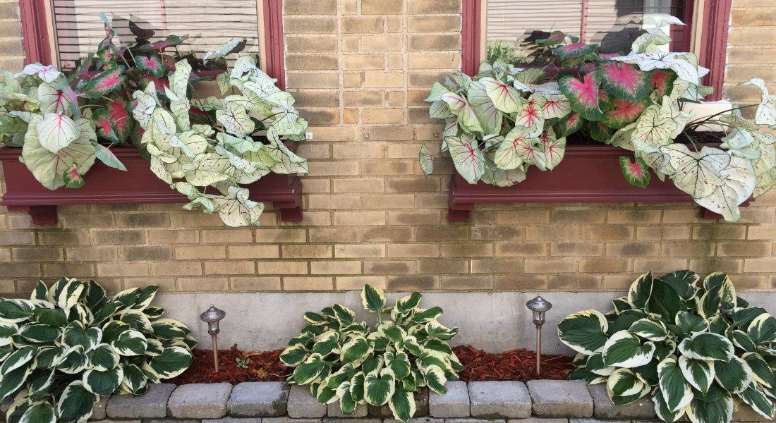 مبيت وإفطار Bellevue Weller Haus Bed, Breakfast & Event Center المظهر الخارجي الصورة