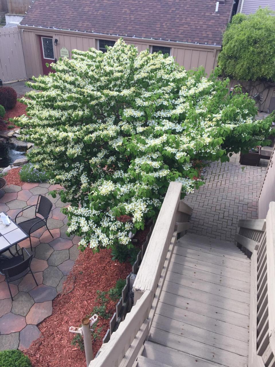 مبيت وإفطار Bellevue Weller Haus Bed, Breakfast & Event Center المظهر الخارجي الصورة